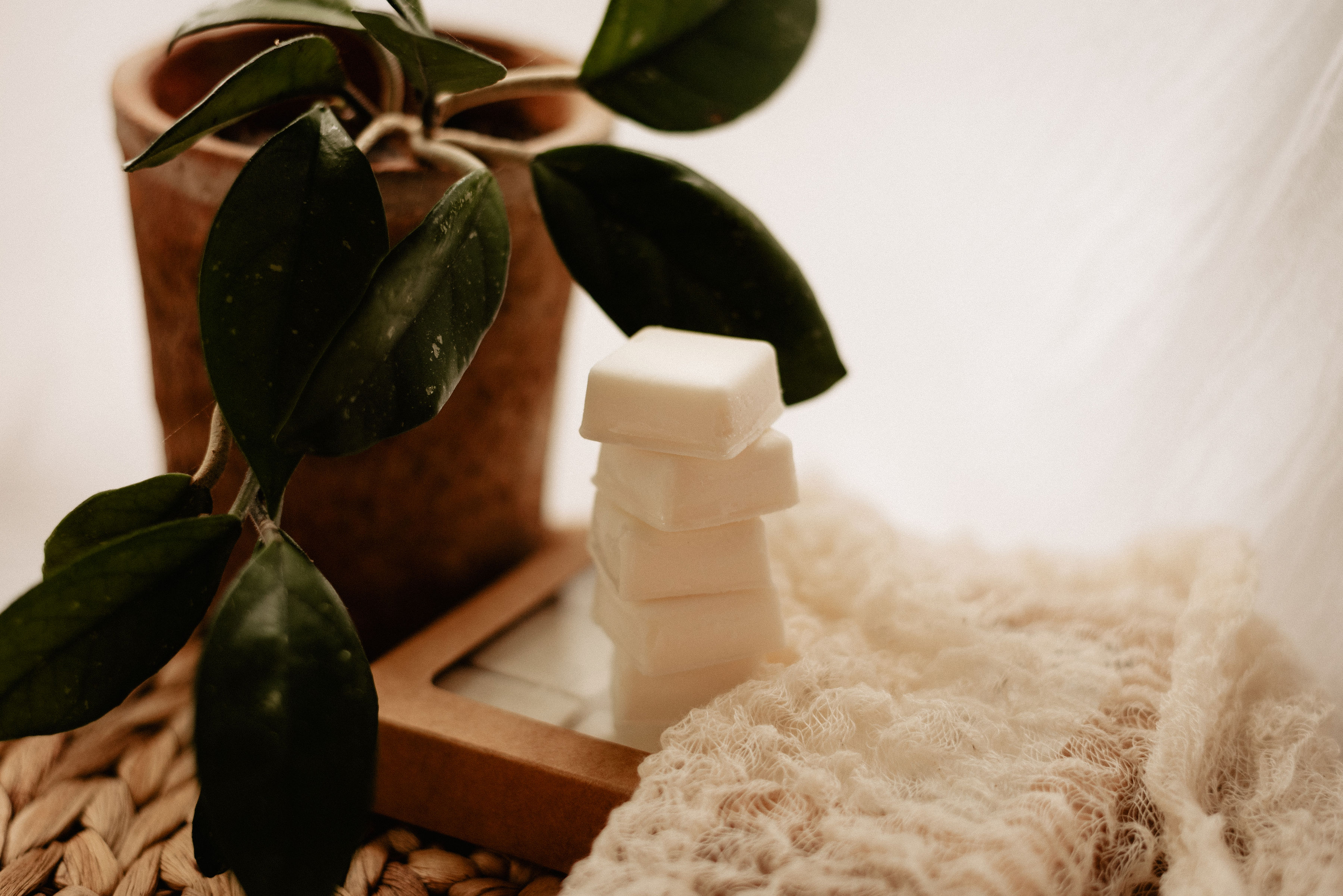 Wax Melts – Little White Shed & Co